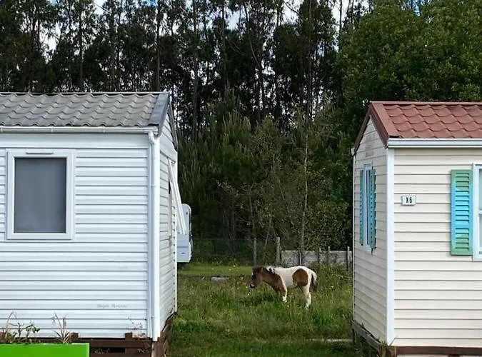 Vakantiepark Bumgalow 5x Pataias